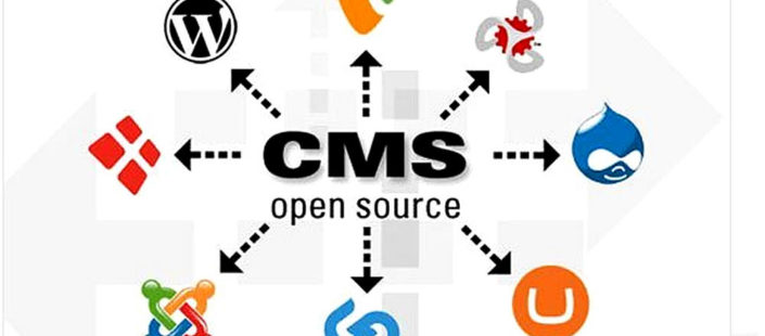 Content Management System