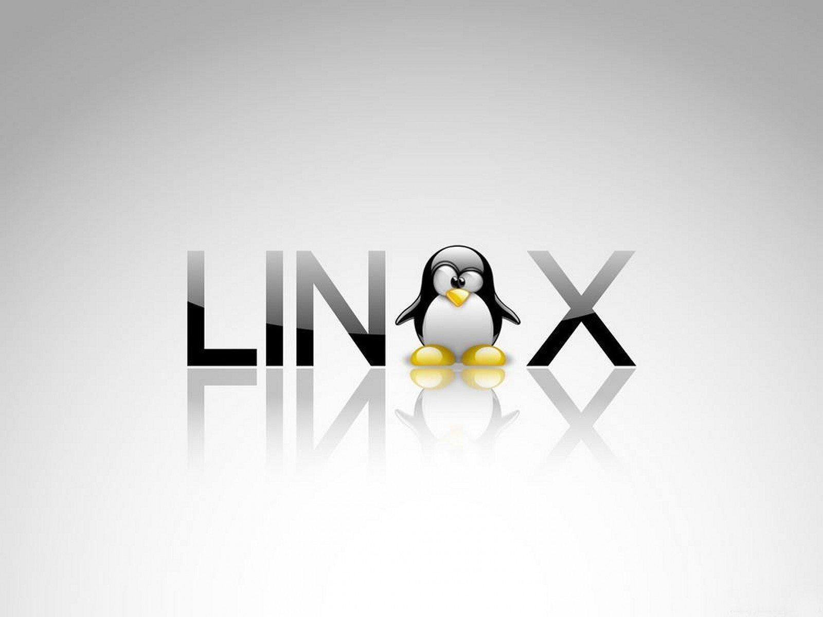 linux-image